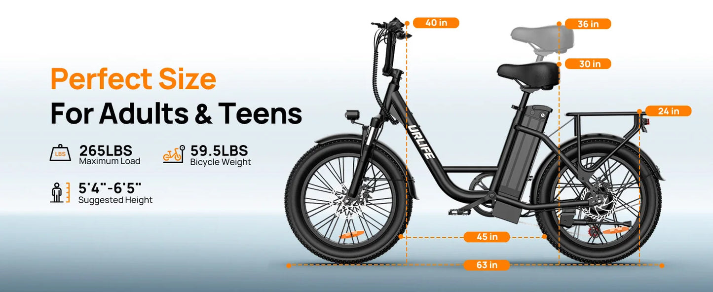 URLIFE 1000W Fat Tire E-Bike with 48V 13Ah Battery & 20MPH Speed