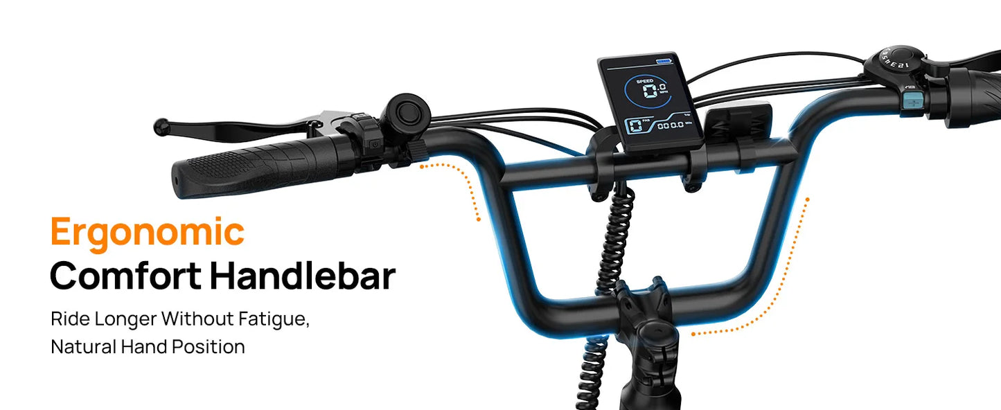 URLIFE 1000W Fat Tire E-Bike with 48V 13Ah Battery & 20MPH Speed