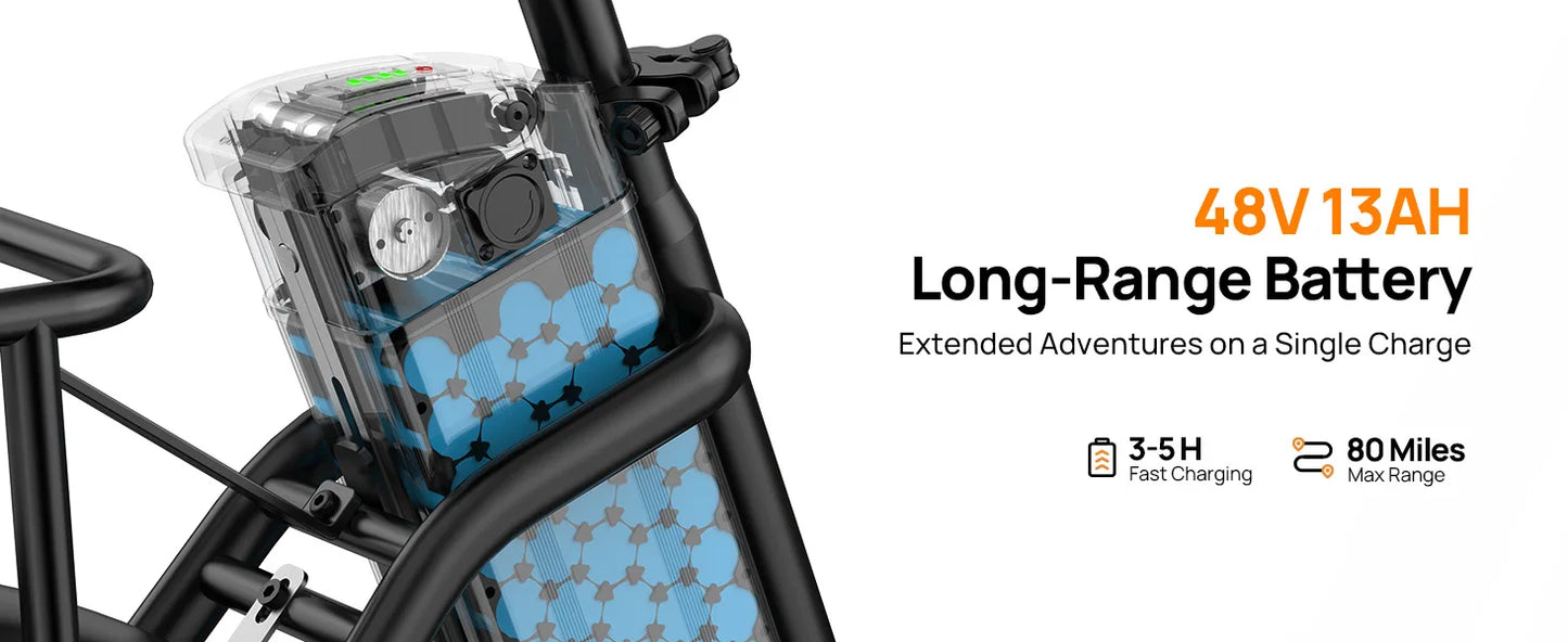 URLIFE 1000W Fat Tire E-Bike with 48V 13Ah Battery & 20MPH Speed